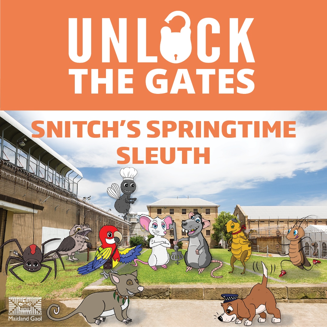 Snitch’s Springtime Sleuth